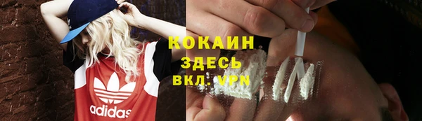 ALPHA PVP Белокуриха