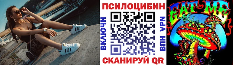 где можно купить   Пионерский  Галлюциногенные грибы прущие грибы 